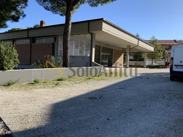appartamento in affitto a Macerata