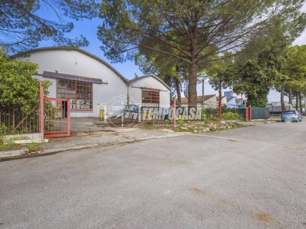 locale commerciale in affitto a Macerata in zona Piediripa