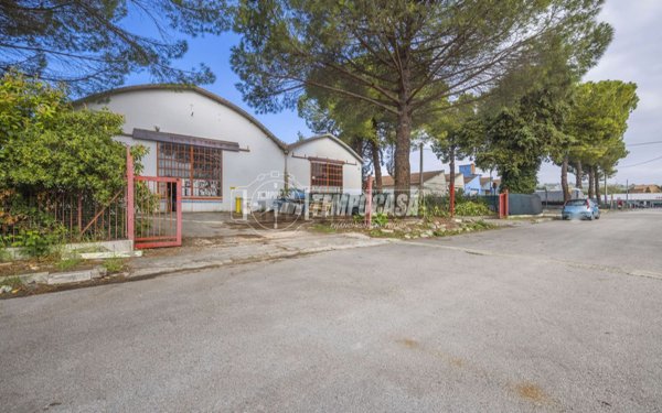 capannone in affitto a Macerata in zona Piediripa