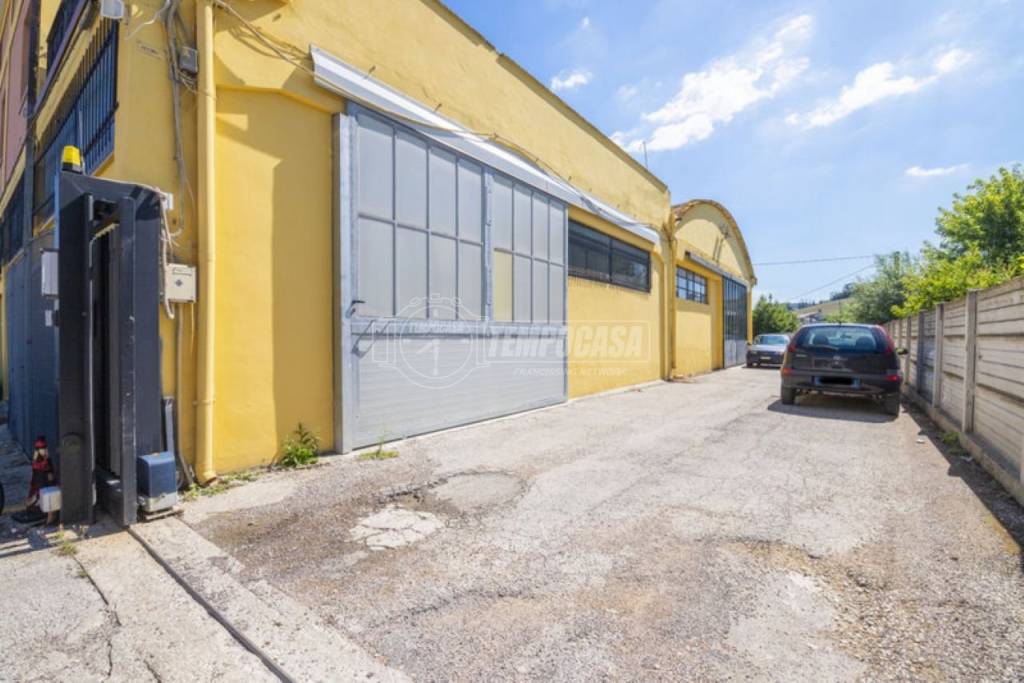 trivano in affitto a Montelupone