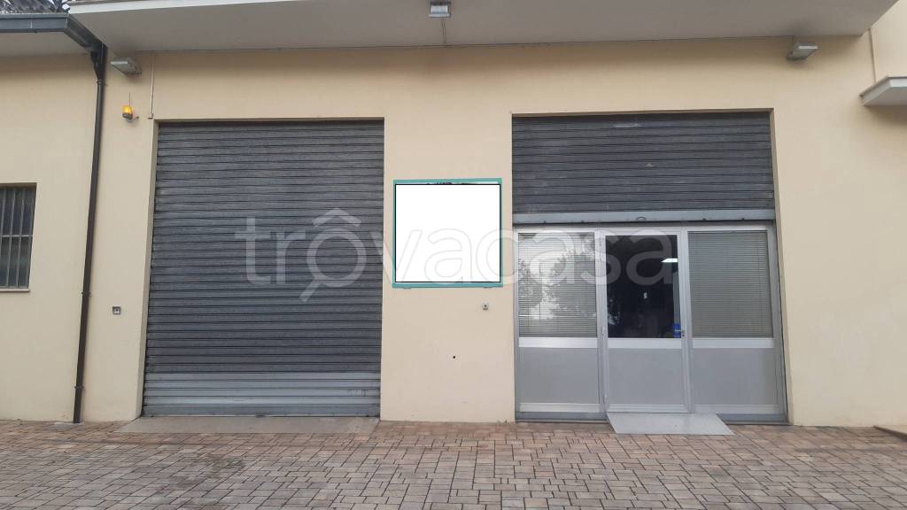 locale commerciale in affitto a Morrovalle in zona Trodica