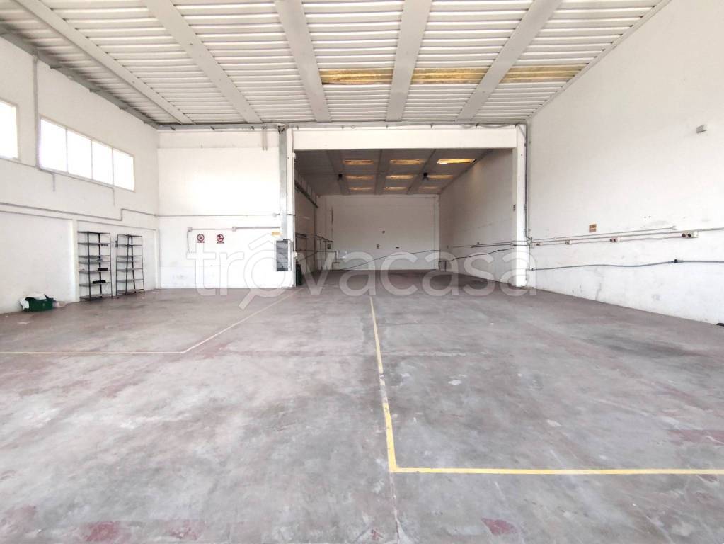 locale commerciale in affitto a Morrovalle in zona Trodica