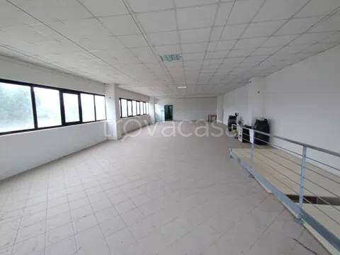 locale commerciale in affitto a Morrovalle