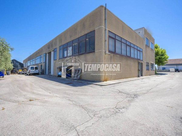 locale commerciale in affitto a Morrovalle in zona Pintura
