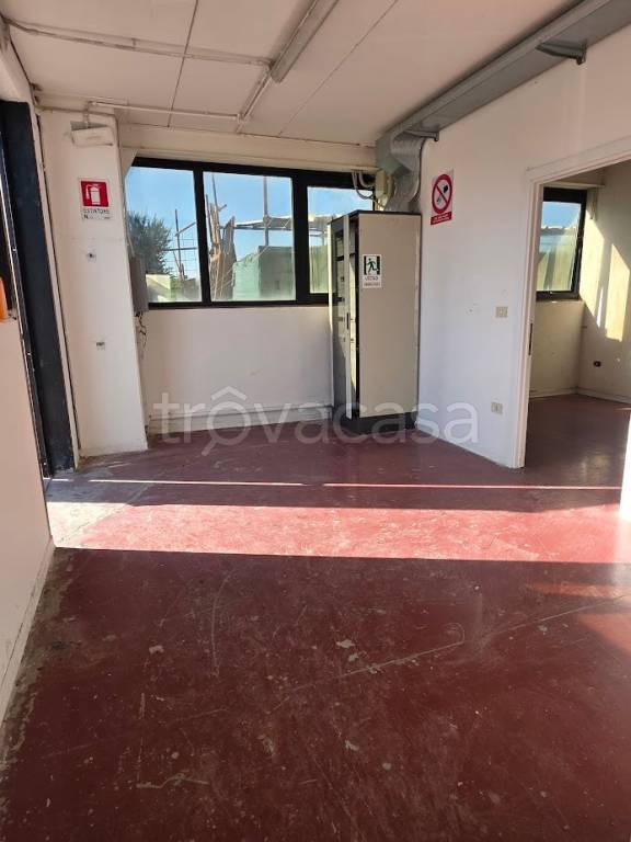 appartamento in affitto a Morrovalle in zona Trodica