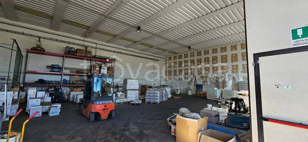 locale commerciale in affitto a Morrovalle in zona Trodica