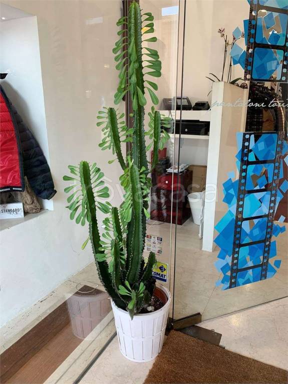 negozio in affitto a Porto Recanati