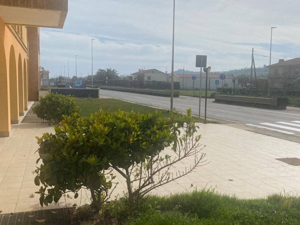 negozio in affitto a Potenza Picena in zona Porto Potenza Picena