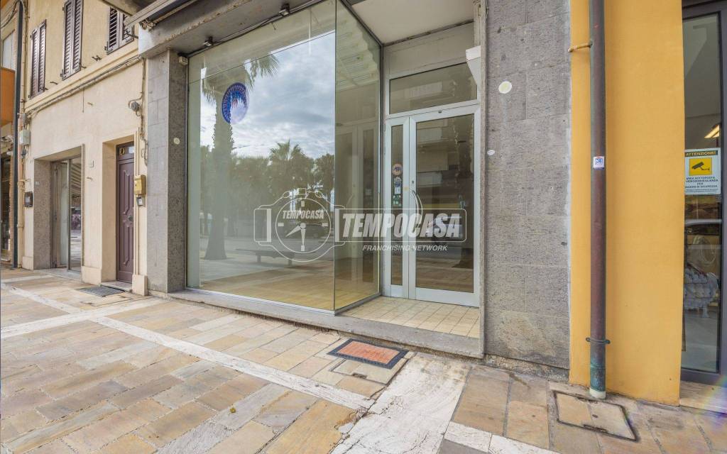 immagine annuncio 0 di 15