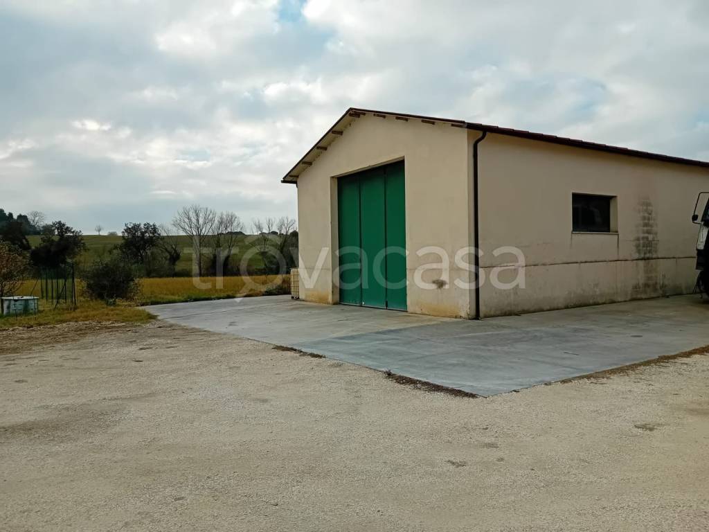 locale commerciale in affitto a Recanati