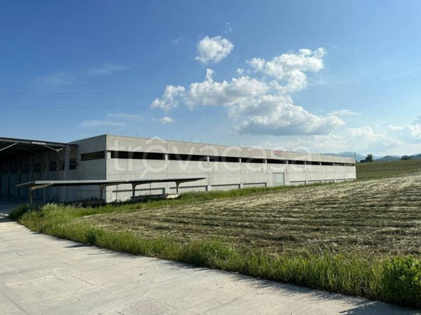 capannone in affitto a San Severino Marche