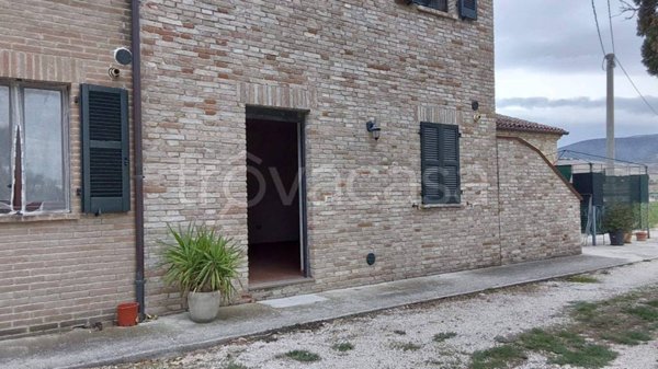 appartamento in affitto a Treia