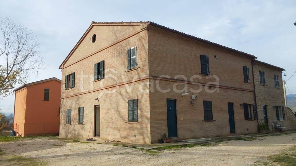 appartamento in affitto a Treia