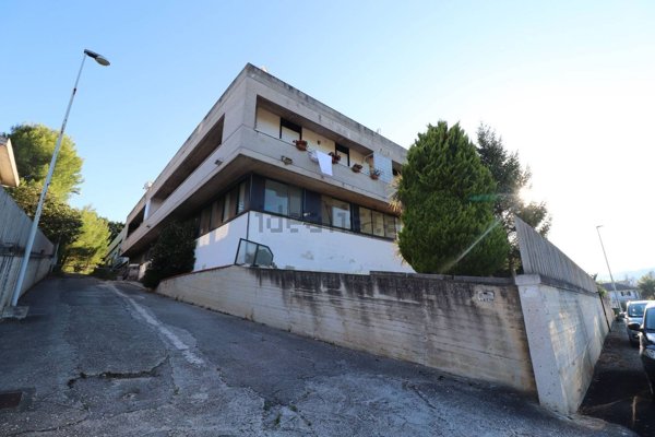 capannone in affitto ad Acquaviva Picena