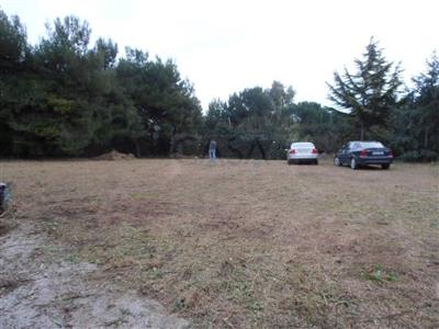 locale commerciale in affitto ad Ascoli Piceno