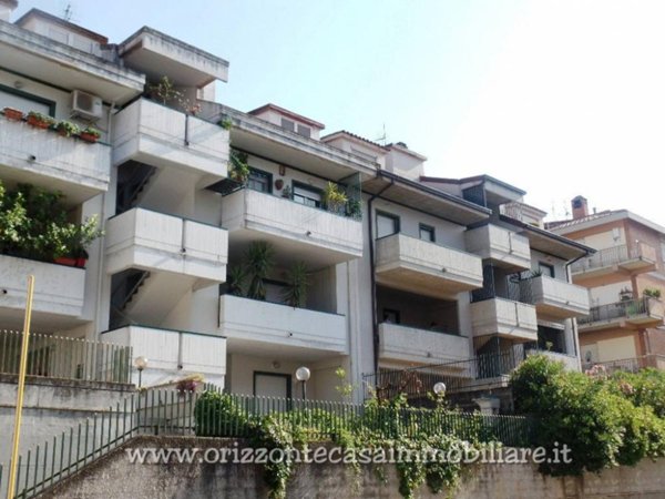 appartamento in affitto ad Ascoli Piceno in zona Porta Maggiore