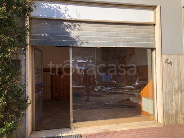 appartamento in affitto a Comunanza
