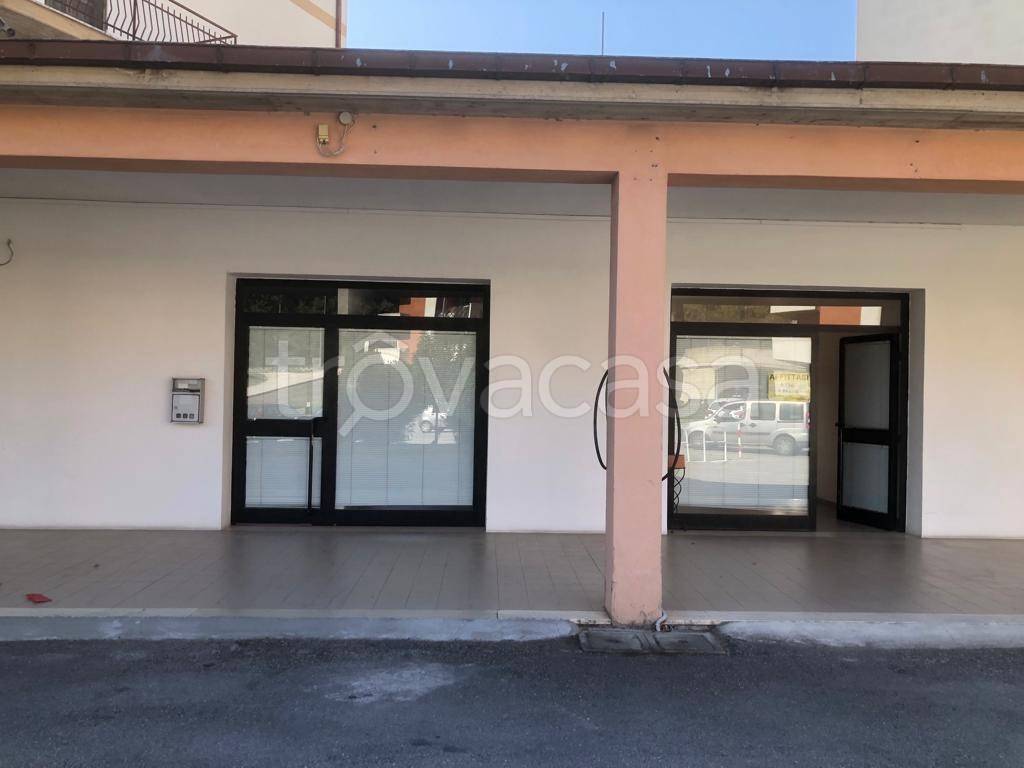 appartamento in affitto a Comunanza