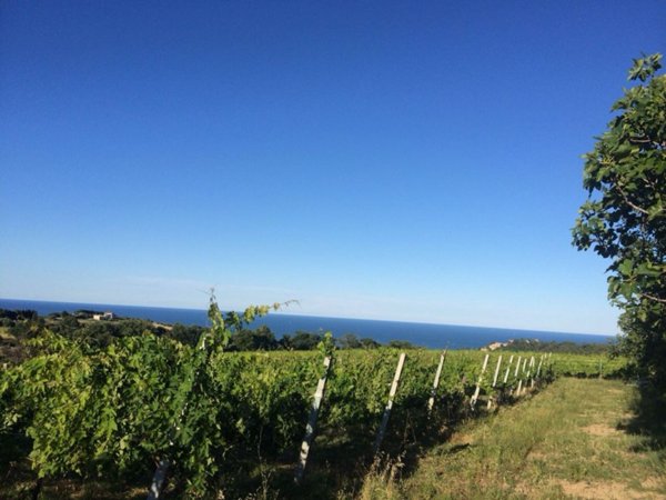 immagine annuncio 0 di 1