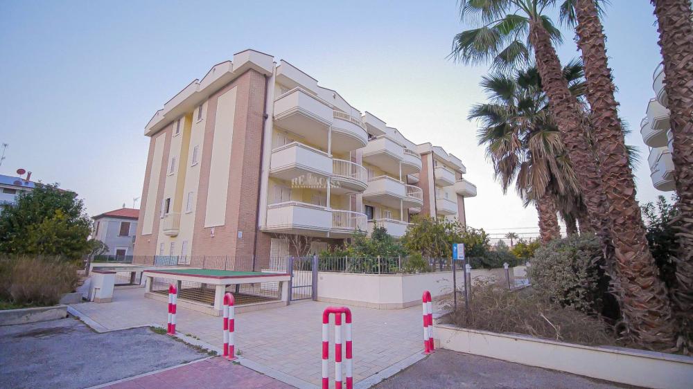 appartamento in affitto a Cupra Marittima