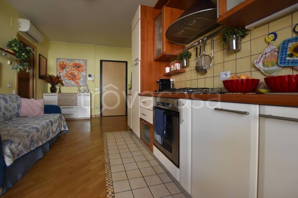 appartamento in affitto a Cupra Marittima