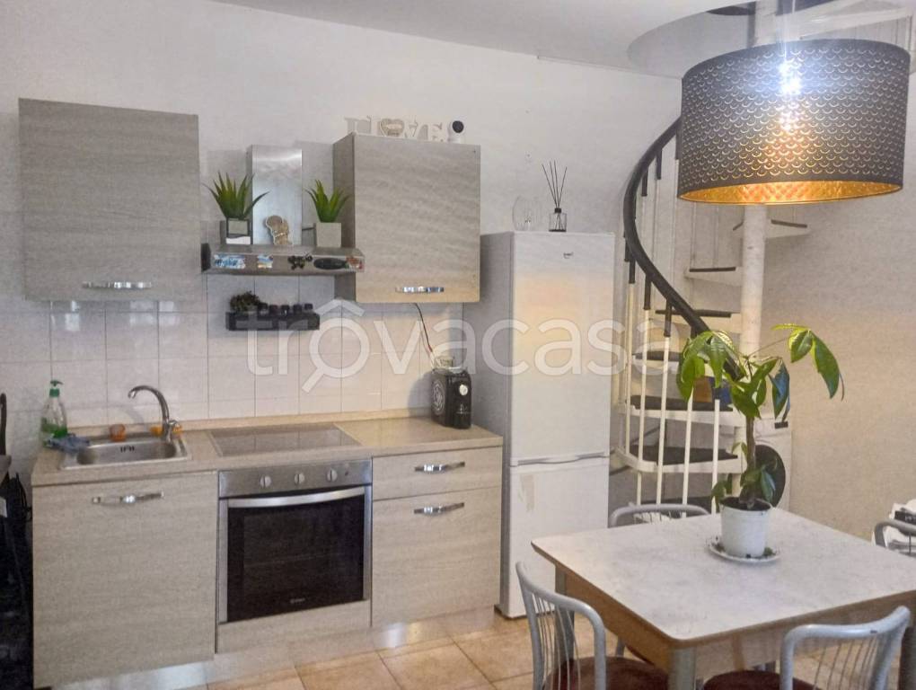 appartamento in affitto a Cupra Marittima