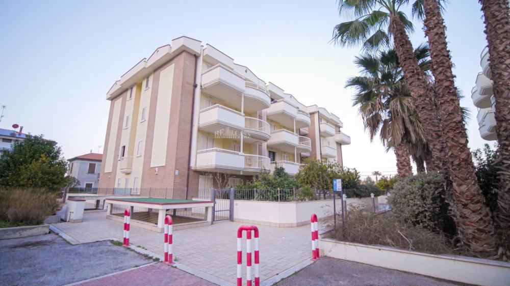 appartamento in affitto a Cupra Marittima