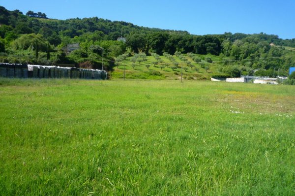 terreno agricolo in affitto a Grottammare