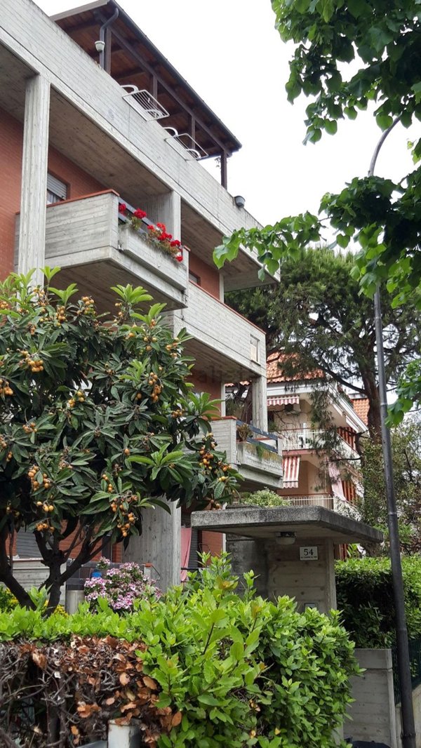 appartamento in affitto a Grottammare