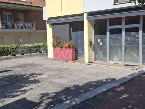 appartamento in affitto a Grottammare in zona Ischia
