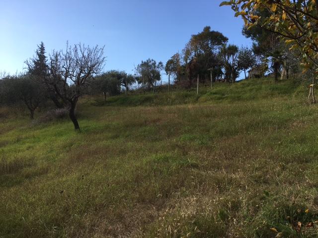 villa in affitto a Monsampolo del Tronto