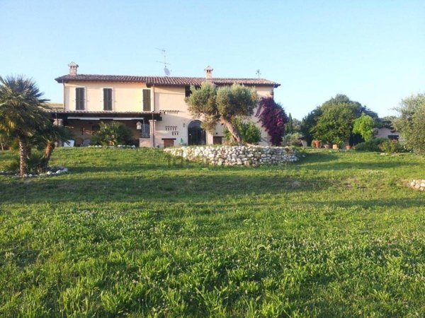 appartamento in affitto a Monteprandone