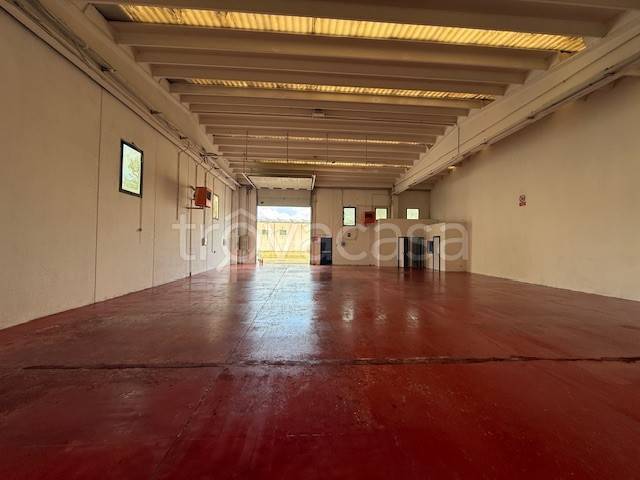 appartamento in affitto a Monteprandone in zona Centobuchi