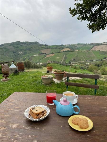 appartamento in affitto a Ripatransone