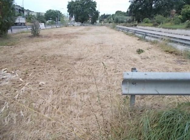 terreno industriale in affitto a Ripatransone