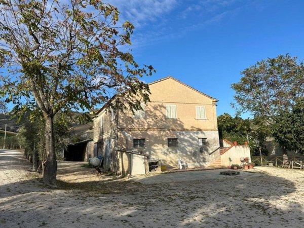 appartamento in affitto a Ripatransone