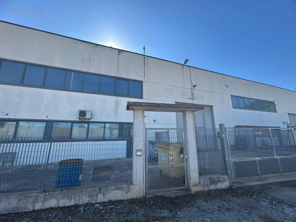 casale in affitto a Ripatransone in zona San Salvatore