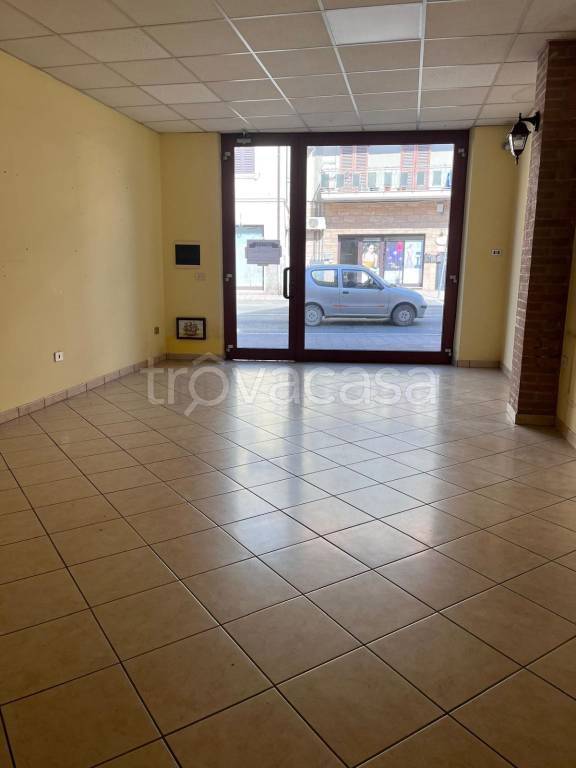appartamento in affitto a San Benedetto del Tronto