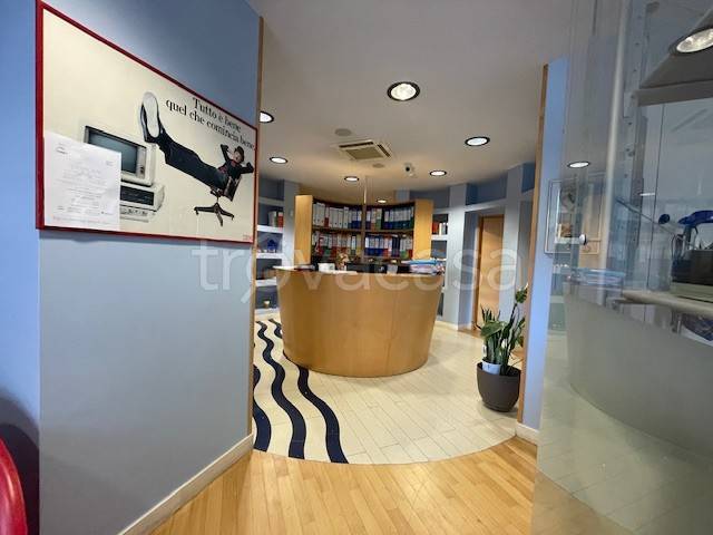 appartamento in affitto a San Benedetto del Tronto