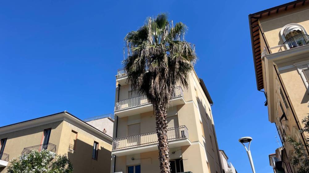 appartamento in affitto a San Benedetto del Tronto