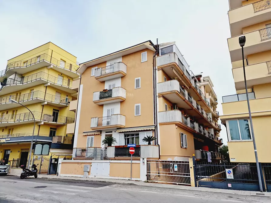 appartamento in affitto a San Benedetto del Tronto in zona Sentina