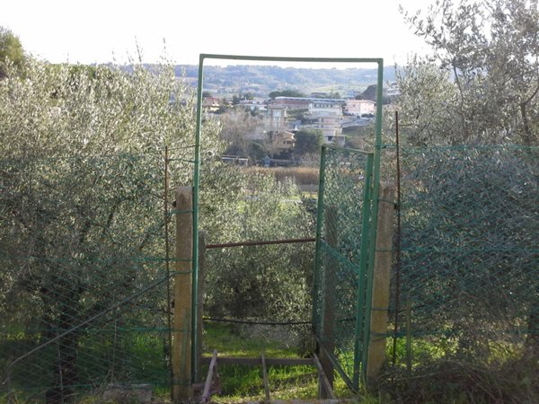 appartamento in affitto a San Benedetto del Tronto
