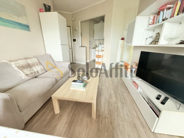 appartamento in affitto a San Benedetto del Tronto in zona Sentina