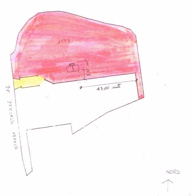 appartamento in affitto a San Benedetto del Tronto