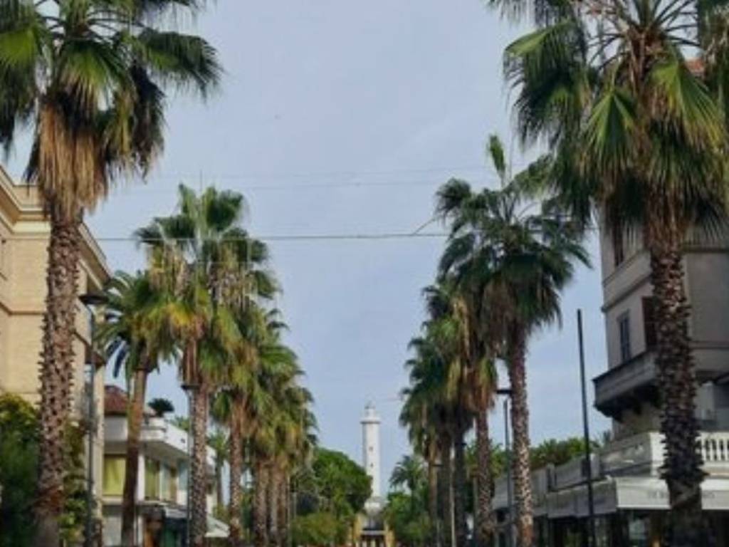 appartamento in affitto a San Benedetto del Tronto