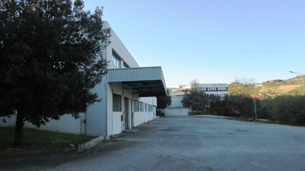 capannone in affitto a San Benedetto del Tronto