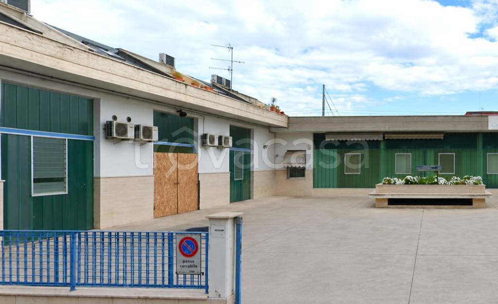 appartamento in affitto a San Benedetto del Tronto