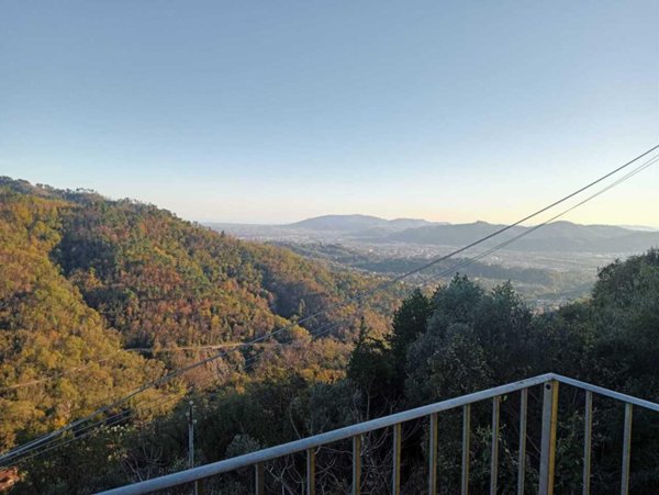 quadrivano in affitto ad Aulla