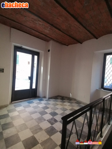 negozio in affitto a Carrara