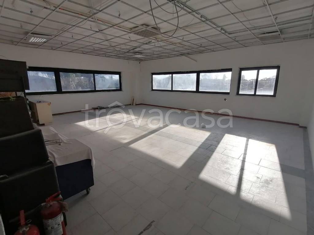 negozio in affitto a Carrara in zona Avenza